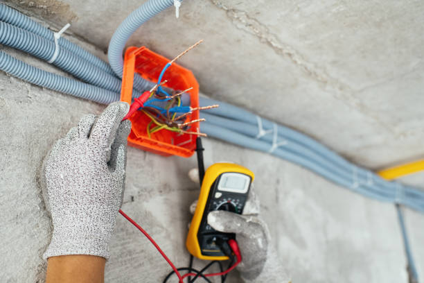 Best Electric Panel Repair  in Hutchinson, MN